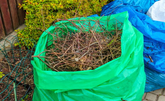 Nathaniel Home 2 of 2